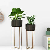 European Designer Decorative Metal Planter Set