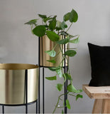 Modern Round Gold Plated Single Planter Stand